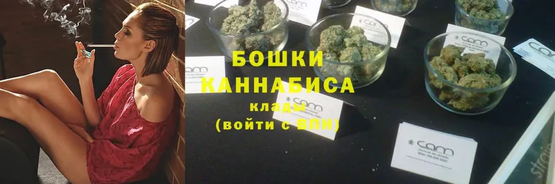 Конопля Ganja  Новороссийск 